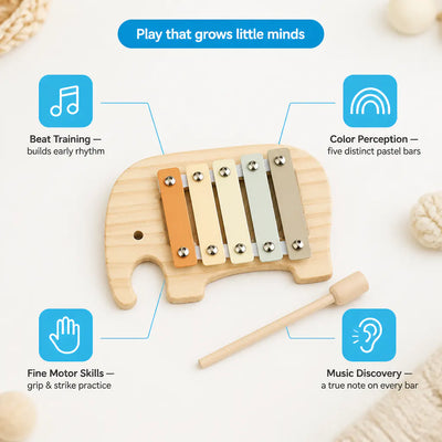 ReefGear - Wooden Baby Xylophone